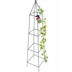 Pyramid Garden Pergola kiipeilijöille, ruusut, 150 cm hinta ja tiedot | Kukkatelineet ja kukkapöydät | hobbyhall.fi