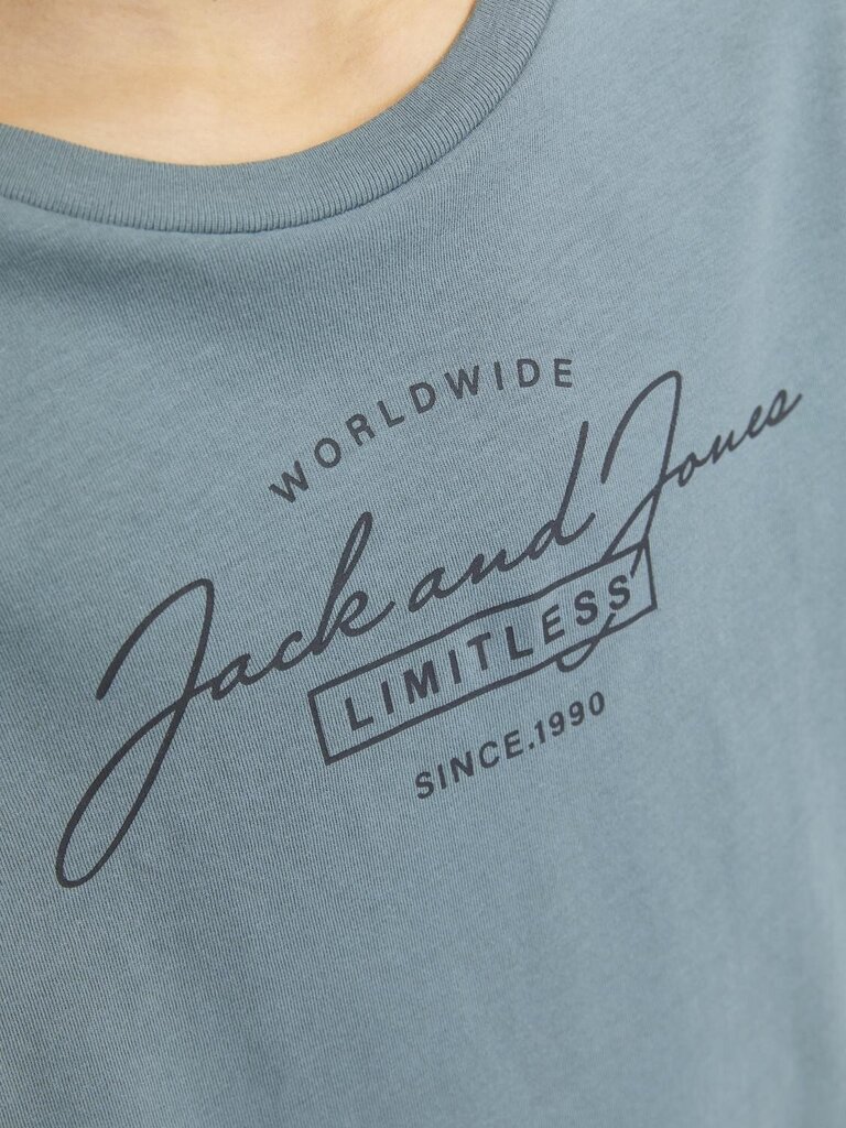 Jack & Jones lasten T-paita 12259713*02, sininen 5715603667868 hinta ja tiedot | Naisten T-paidat | hobbyhall.fi