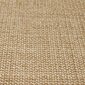 Matto luonnollinen sisal 80x150 cm hinta ja tiedot | Isot matot | hobbyhall.fi