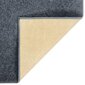 Lyhytnukkainen matto 80x150 cm antrasiitti hinta ja tiedot | Isot matot | hobbyhall.fi