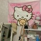 'Hello kitty kuvakudos kawaii seinälle tapetti sarjakuva söpö vaaleanpunainen huoneen sisustus kodin tarvikkeet syntymäpäivä joululahja' hinta ja tiedot | Päiväpeitot ja huovat | hobbyhall.fi