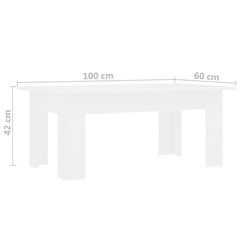 Sohvapöytä valkoinen 100x60x42 cm lastulevy hinta ja tiedot | Sohvapöydät | hobbyhall.fi