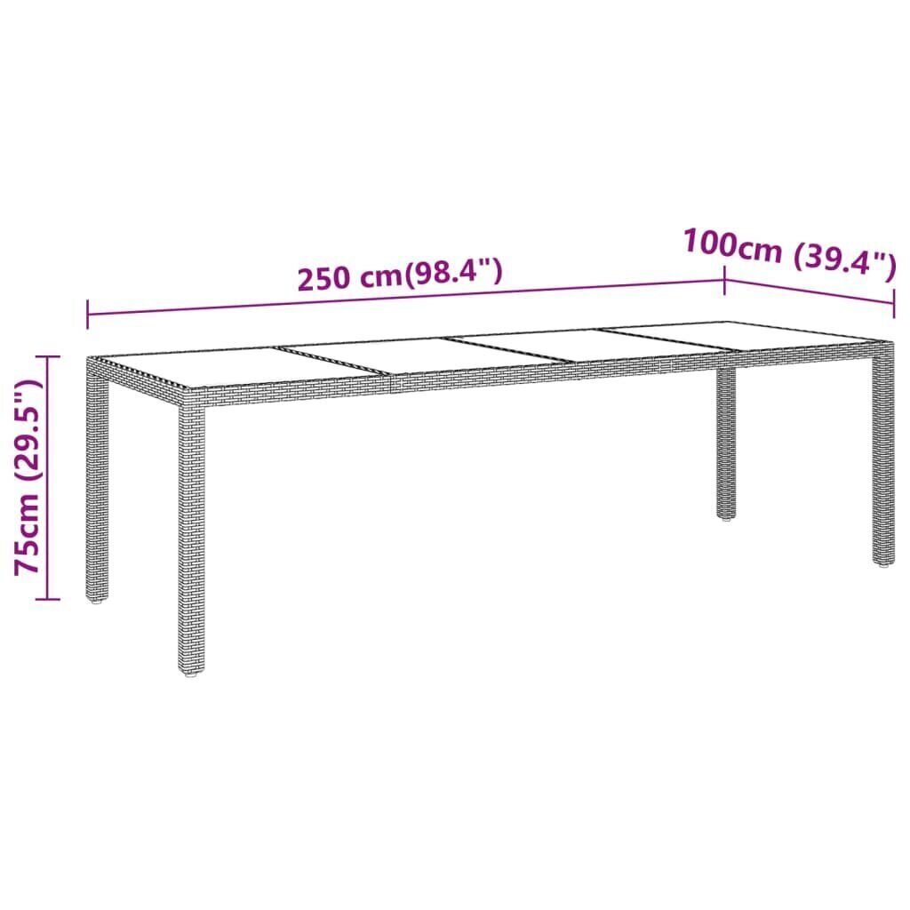 Puutarhapöytä 250x100x75cm karkaistu lasi/polyrottinki harmaa hinta ja tiedot | Puutarhapöydät | hobbyhall.fi