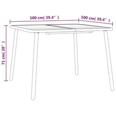 Puutarhapöytä antrasiitti 100x100x71 cm teräs hinta ja tiedot | Puutarhapöydät | hobbyhall.fi