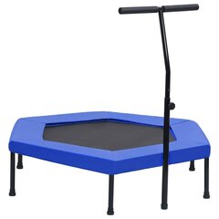 Fitness trampoliini kahvalla ja turvatyynyllä kuusikulmio 122cm hinta ja tiedot | Fitness-trampoliinit | hobbyhall.fi