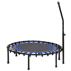 Fitness trampoliini kahvalla 102 cm hinta ja tiedot | Fitness-trampoliinit | hobbyhall.fi