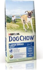 PURINA DOG CHOW Adult Large Breed 14kg - koiran kuivaruoka hinta ja tiedot | Koiran kuivaruoka | hobbyhall.fi