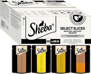 Sheba Selection Select Slices -säilykkeet kanan, siipikarjan ja kalkkunan kanssa, 120x85 g hinta ja tiedot | Kissanruoka | hobbyhall.fi