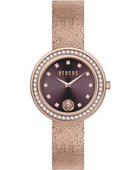 Naisten kello Versus Versace Carnaby Street Stainless Steel Bordeaux hinta ja tiedot | Naisten kellot | hobbyhall.fi