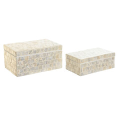 Dkd Home Decor -laatikko kannella, 25 x 15 x 12 cm, 2 kpl hinta ja tiedot | Säilytyslaatikot ja -korit | hobbyhall.fi