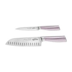 Veitsisarja laatikossa 4swiss Perfect Knife 2 kpl. hinta ja tiedot | Veitset ja tarvikkeet | hobbyhall.fi