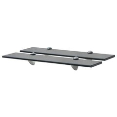 Kelluvat hyllyt 2 kpl lasi 50x20 cm 8 mm hinta ja tiedot | Hyllyt | hobbyhall.fi