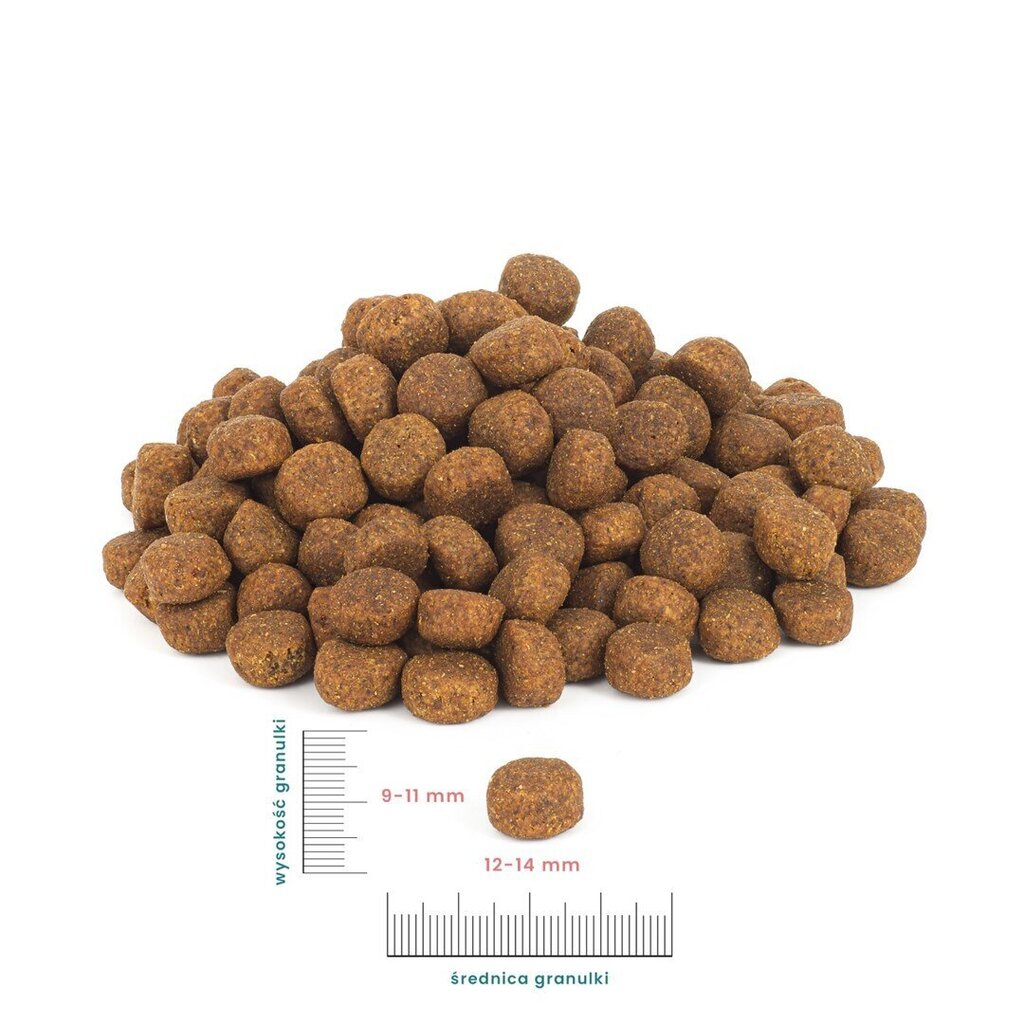 Perro keskikokoisten ja suurten rotujen koirille naudan ja karitsan kanssa, 1 kg hinta ja tiedot | Koiran kuivaruoka | hobbyhall.fi