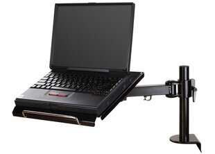 HUOM ACC DESK MOUNT 10-22" / NOTEBOOK-D100 NEWSTAR hinta ja tiedot | Newstar Tietokoneet ja pelaaminen | hobbyhall.fi