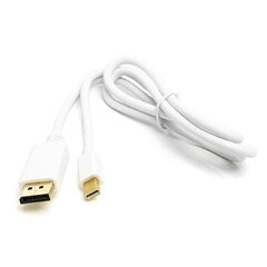 Mini-DisplayPort-kaapeli - DisplayPort, 1 m hinta ja tiedot | Kaapelit ja adapterit | hobbyhall.fi