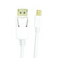 Mini-DisplayPort-kaapeli - DisplayPort, 1 m hinta ja tiedot | Kaapelit ja adapterit | hobbyhall.fi