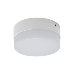 ROBIN LED c 12w nw 1080 lm katto smd LED-valaisin Strühm 55x120x120mm hinta ja tiedot | Kattovalaisimet | hobbyhall.fi