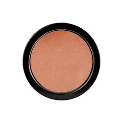 Aurinkopuuteri Paese Bronzer, 10,5 g hinta ja tiedot | Aurinkopuuterit ja poskipunat | hobbyhall.fi