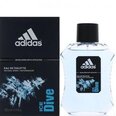 Adidas Ice Dive EDT miehelle 100 ml