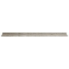 Seinähyllyt 2 kpl betoninharmaa 100x9x3 cm hinta ja tiedot | Hyllyt | hobbyhall.fi