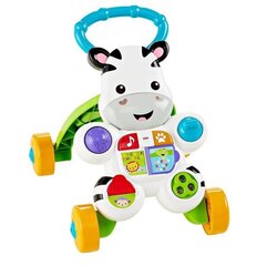 Musiikkikävelytuki Fisher Price, DPL53 (puola) hinta ja tiedot | Vauvan lelut | hobbyhall.fi