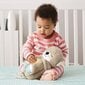 Unilelu Saukko Fisher Price, FXC66 hinta ja tiedot | Vauvan lelut | hobbyhall.fi