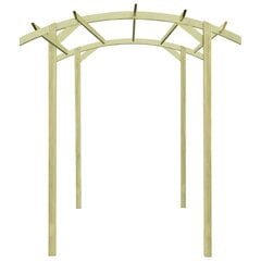 Puutarhapergola, 180x197x210cm, kyllästetty mänty hinta ja tiedot | Kukkatelineet ja kukkapöydät | hobbyhall.fi