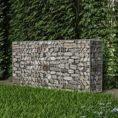 Gabion kori, teräs, 200x50x100 cm hinta ja tiedot | Puutarhatyökalut | hobbyhall.fi