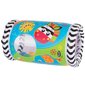 PLAYGRO Musiikkilelu Peek in Roller hinta ja tiedot | Vauvan lelut | hobbyhall.fi