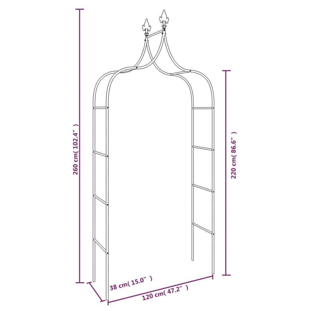 Puutarhakaaret 2 kpl musta 120x38x260 cm teräs hinta ja tiedot | Kukkatelineet ja kukkapöydät | hobbyhall.fi