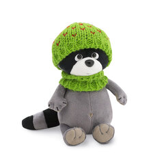 Danny the Raccoon -lelu hinta ja tiedot | Vauvan lelut | hobbyhall.fi