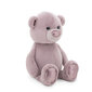 Pehmeä lelu Fluffy Bear Lilac hinta ja tiedot | Pehmolelut | hobbyhall.fi