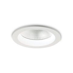 Uppovalaisin Basic Korostus 30W 3000K 193489 hinta ja tiedot | Upotettavat valaisimet ja LED-valaisimet | hobbyhall.fi