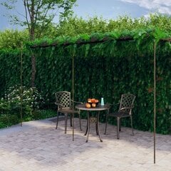 Puutarhan pergola antiikkiruskea 6x3x2,5 m rauta hinta ja tiedot | Kukkatelineet ja kukkapöydät | hobbyhall.fi