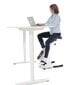 Kuntopyörä Gymstick Desk hinta ja tiedot | Kuntopyörät | hobbyhall.fi