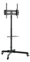 Audizio MFS30 mobiili-TV:n lattiateline 32"-65" hinta ja tiedot | TV-seinätelineet | hobbyhall.fi