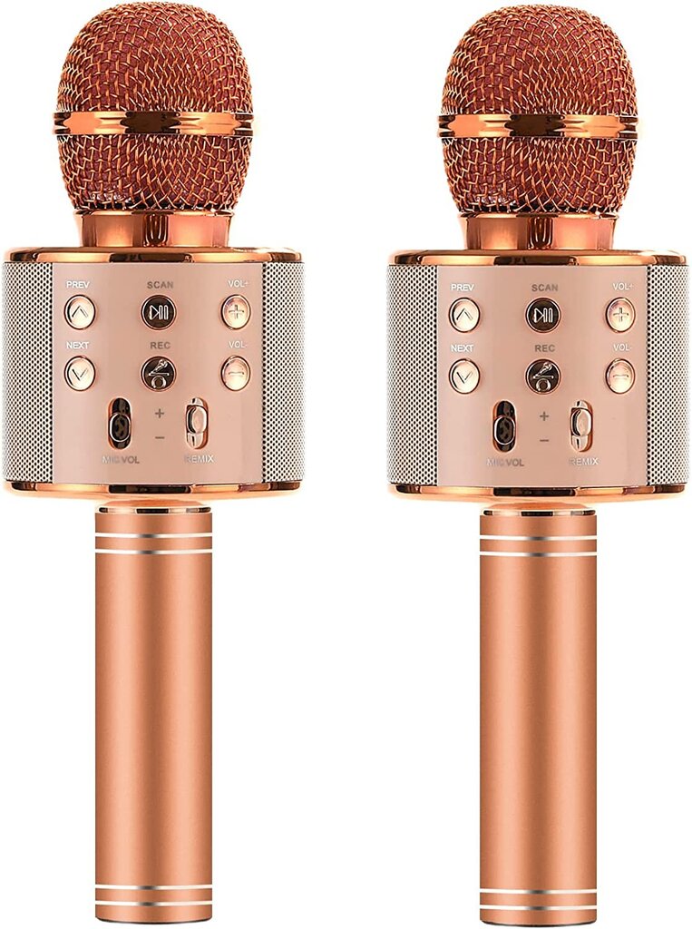 Karaoke-mikrofoni-kaiutin WS-858 äänenmuokkaus-efekteillä hinta ja tiedot | Kehittävät lelut | hobbyhall.fi