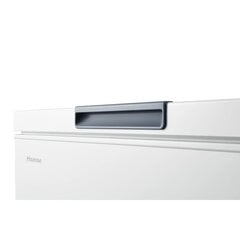 Hisense FT386D4AWLYE hinta ja tiedot | Hisense Kodinkoneet | hobbyhall.fi