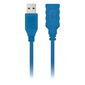 Nanokaapeli 10.01.0901-BL, USB C/DisplayPort, 1 m hinta ja tiedot | Kaapelit ja adapterit | hobbyhall.fi