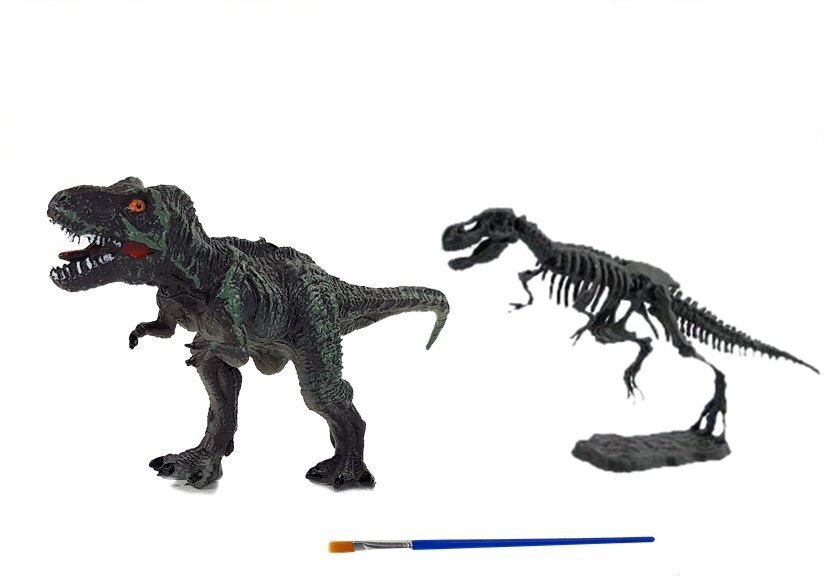 Nuoren arkeologin setti dinosauruksen kanssa hinta ja tiedot | Kehittävät lelut | hobbyhall.fi