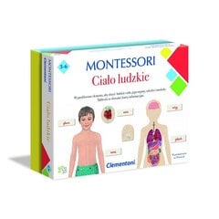 Montessori | Opetuspeli Ihmiskeho. hinta ja tiedot | Kehittävät lelut | hobbyhall.fi