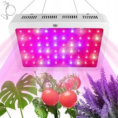 Kasvivalo 100x LED 1500W hinta ja tiedot | Sisäpuutarhat ja kasvilamput | hobbyhall.fi