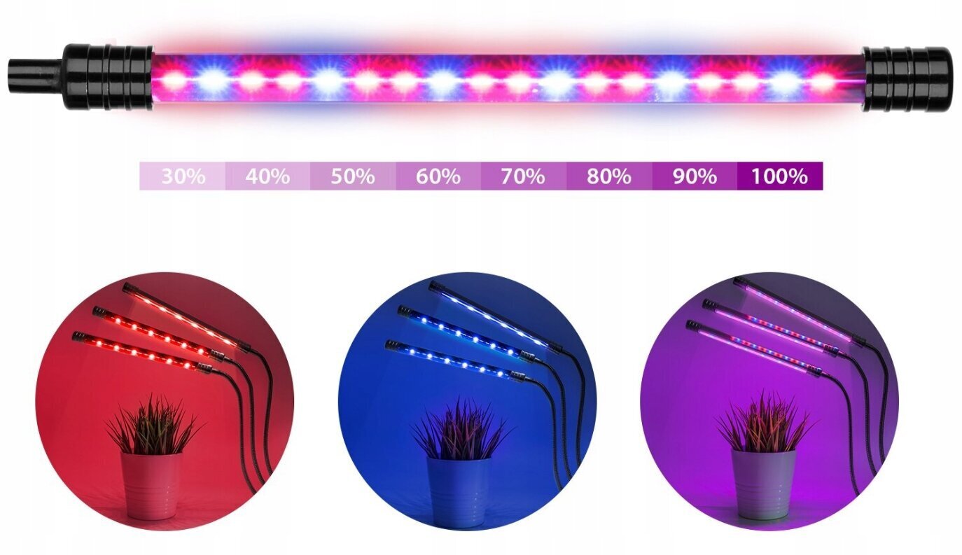 Kasvivalo ajastimella 20W LED hinta ja tiedot | Sisäpuutarhat ja kasvilamput | hobbyhall.fi