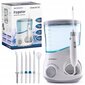 Berdsen ClearJet X2 Wireless Dental Irigator hinta ja tiedot | Hammasvälisuihkut | hobbyhall.fi