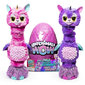 SPIN MASTER Hatchimals HatchiWow interaktiiviset hahmot hinta ja tiedot | Tyttöjen lelut | hobbyhall.fi