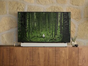 5.0 Soundbar Sonos Arc, valkoinen hinta ja tiedot | Kaiuttimet ja soundbarit | hobbyhall.fi