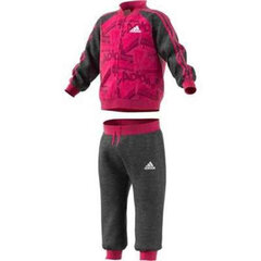 Verryttelypuku Adidas I Bball Jog FT hinta ja tiedot | Tyttöjen leggingsit ja housut | hobbyhall.fi