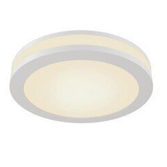 Maytoni Technical Downlight Phanton DL2001-L12W Valkoinen hinta ja tiedot | Kattovalaisimet | hobbyhall.fi