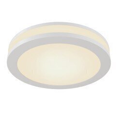 Maytoni Technical Downlight Phanton DL2001-L12W Valkoinen hinta ja tiedot | Kattovalaisimet | hobbyhall.fi