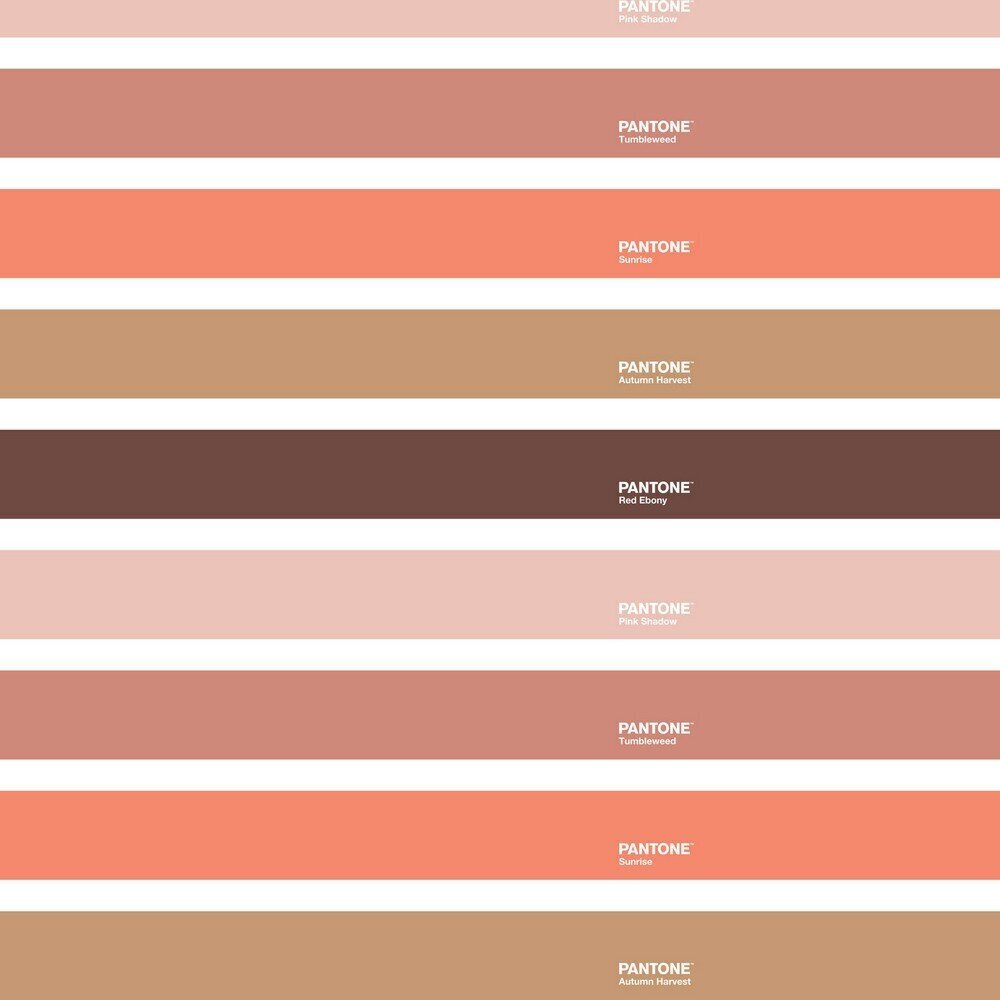 Pantone vuodevaatesetti, 210x270 cm, 2 osaa hinta ja tiedot | Pussilakanat ja tyynyliinat | hobbyhall.fi